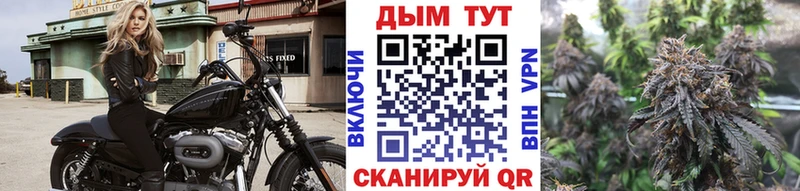 купить сайты Анива Шишки марихуана OG Kush